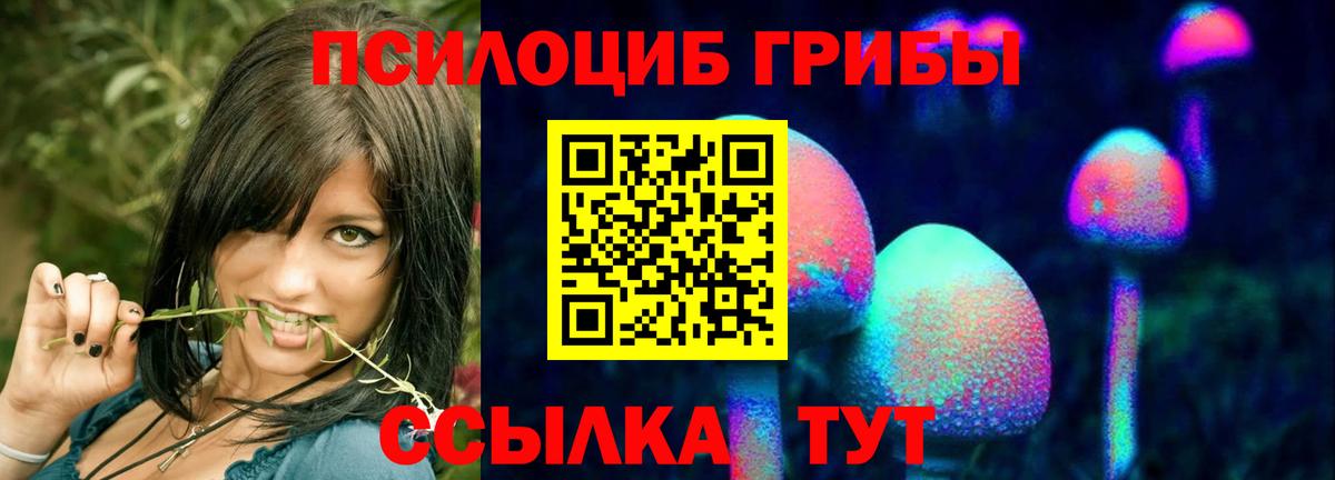 Псилоцибиновые грибы мухоморы Балаково
